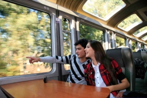 From Cusco: Machu Picchu Private Day Trip on Panoramic Train