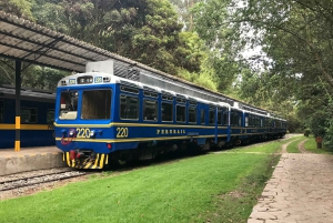 From Cusco: Machu Picchu Private Day Trip on Panoramic Train
