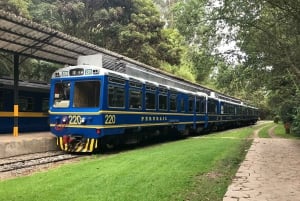 Из Куско: частная однодневная поездка в Мачу-Пикчу на панорамном поезде