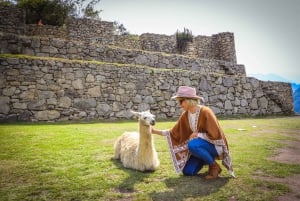 From Cusco: Machu Picchu Private Day Trip with All Tickets