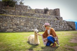 Fra Cusco: Privat dagstur til Machu Picchu med alle billetter