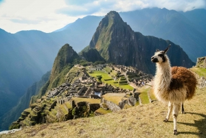 From Cusco: Machu Picchu Private Tour & Entry Ticket