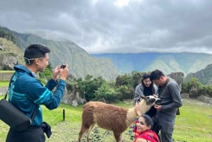 Cuscosta: Machupicchu kokopäiväretki tutkimusretkijunalla