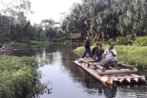 Vanuit Cusco: Manu Park 3 dagen ecotoerisme en avontuur