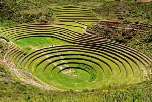 From Cusco: Sacred Valley and Maras Salt Mines with Lunch