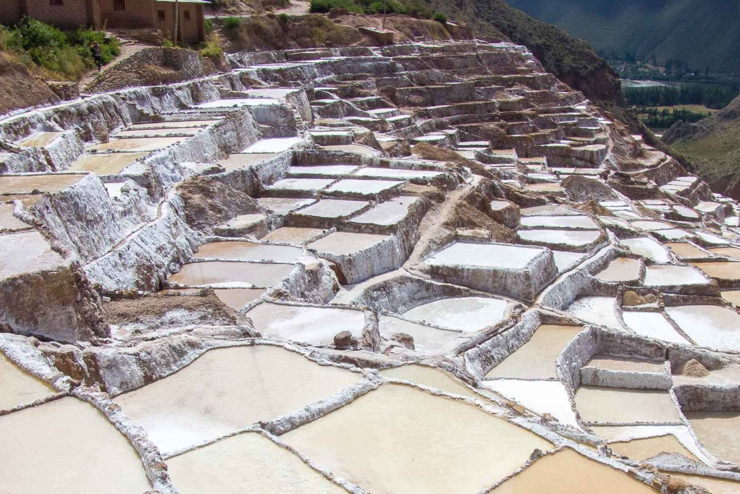 クスコからモライ、マラス、塩鉱山の半日ツアー
