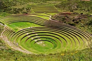 Z Cusco: Moray, Maras i kopalnie soli - wycieczka półdniowa