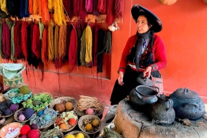 クスコからモライ、マラス、塩鉱山の半日ツアー