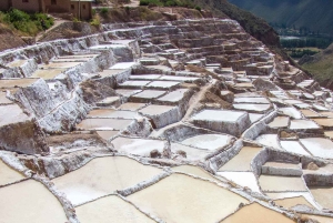 クスコからモライ、マラス、塩鉱山の半日ツアー