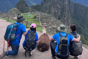Desde Cusco: excursión de un día a Machu Picchu en tren