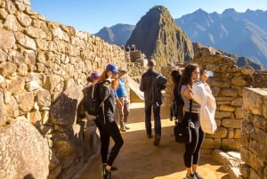 Desde Cusco: excursión de un día a Machu Picchu en tren