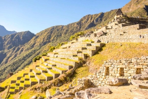 Desde Cusco: excursión de un día a Machu Picchu en tren