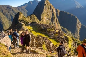 Desde Cusco: excursión de un día a Machu Picchu en tren