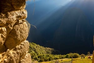 Desde Cusco: excursión de un día a Machu Picchu en tren