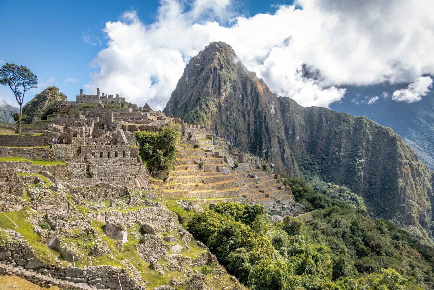 From Cusco: One-Day Tour to Machu Picchu