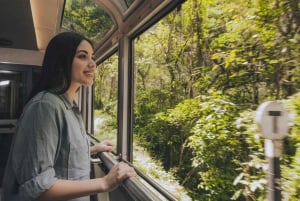 From Cusco: One-Day Tour to Machu Picchu