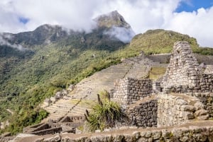 From Cusco: One-Day Tour to Machu Picchu