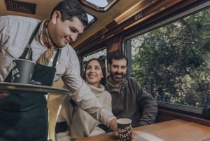 From Cusco: One-Day Tour to Machu Picchu