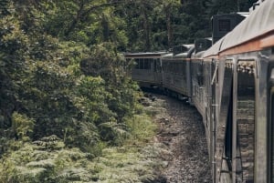 From Cusco: One-Day Tour to Machu Picchu