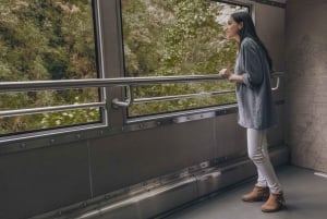 From Cusco: One-Day Tour to Machu Picchu