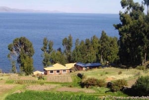 Fra Cusco: Bus med overnatning til Puno med tur til Titicaca-søen