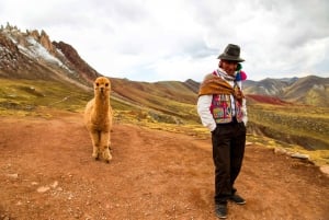 Desde Cusco: caminata de día completo a la cordillera de Palcoyo