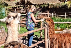 Da Cusco: Escursione privata di un giorno alle rovine di Pisac e alla fattoria degli alpaca