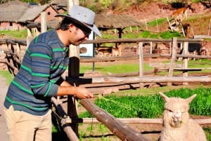 Desde Cusco: Excursión privada de un día a las Ruinas de Pisac y la Granja de Alpacas
