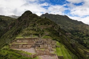 De Cusco: Excursão particular de um dia às Ruínas de Pisac e à Fazenda de Alpaca