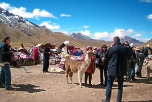 From Cusco: Puno and Uros Islands 2-Day Trip