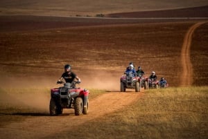 クスコ発：レインボーマウンテンへのクアドバイクツアー（食事付き）