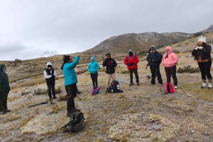 Depuis Cuzco : randonnée sur le glacier de Quelccaya avec petit-déjeuner et déjeuner