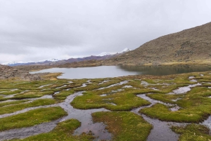 Depuis Cuzco : randonnée sur le glacier de Quelccaya avec petit-déjeuner et déjeuner
