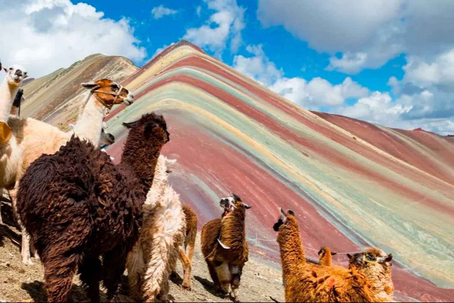 De Cusco: Montanha arco-íris 1 dia + café da manhã e almoço