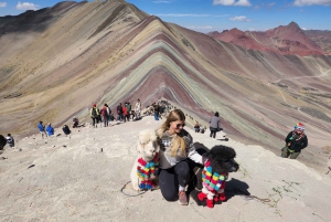 Da Cusco: Tour di un giorno della Montagna dell'Arcobaleno e della Valle Rossa