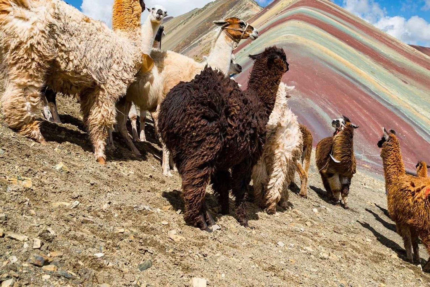 Da Cusco | Montagna Arcobaleno in ATV