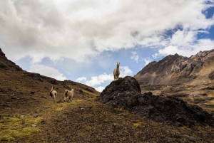 From Cusco: Rainbow Mountain Tour