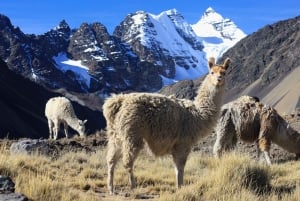 Fra Cusco: Vandring i regnbuefjellene