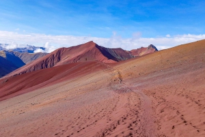 Desde Cusco: Día Completo Montaña Arco Iris + Valle Rojo | PRIVADO