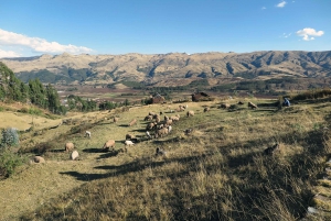 From Cusco: Sacred Valley and Machu Picchu 2-Day Tour