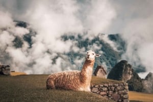 Z Cusco: 2-dniowa wycieczka pociągiem do Świętej Doliny i Machu Picchu