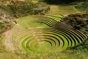 Fra Cusco: Den hellige dal og Maras saltminer med frokost