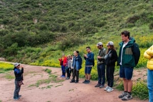 Från Cusco: Sacred Valley med avlämning i Ollantaytambo