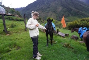 Depuis Cusco : Trek du Salkantay au Machu Picchu 75 km 5 jours/4 nuits 4 jours/3 nuits