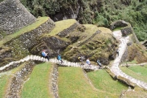 Från Cusco: 2-dagars kort Inkaled