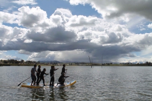 From Cusco: Stand-up Paddleboard Tour on Piuray Lake