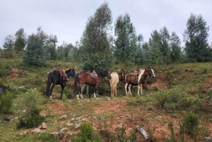 From Cusco: Temple of the Moon Horseback Tour with Transfer