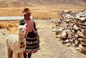 Fra Cusco: Titicaca-sjøen med solens rute på 2 dager