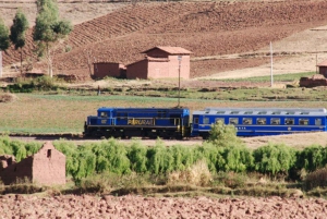 From Cusco: Travel to Machu Picchu with Vistadome train and private guide