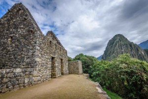 From Cusco: Travel to Machu Picchu with Vistadome train and private guide